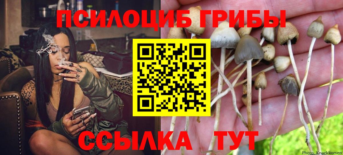 Галлюциногенные грибы мухоморы  Вход с VPN  купить наркотики сайты  Коряжма 