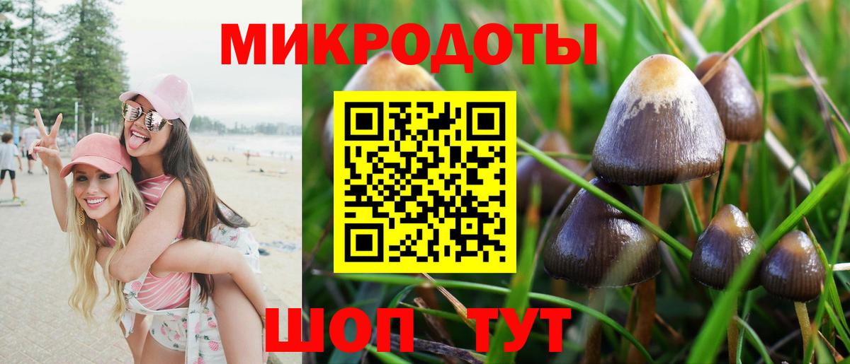 Галлюциногенные грибы MAGIC MUSHROOMS Коряжма